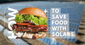 How Solar Energy Helps Save Food and Reduce Waste in 2024