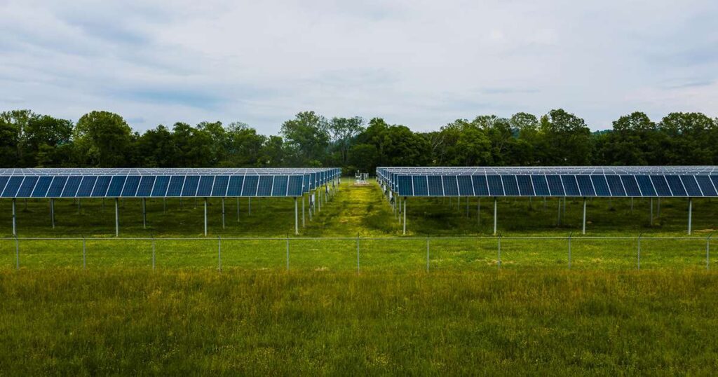 how to apply for solar panel scheme in Punjab